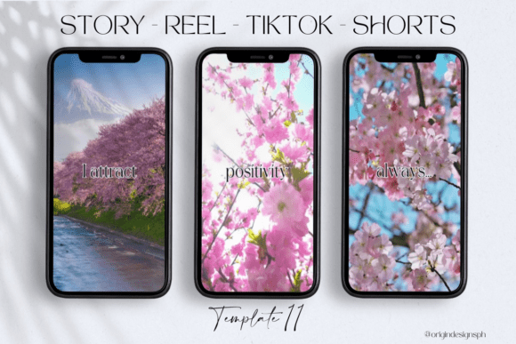 Download Canva Reels TikTok Shorts - Canva Collection